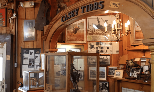 Photos of Casey Tibbs on the wall behind a statue in a glass case at the Casey Tibbs Museum